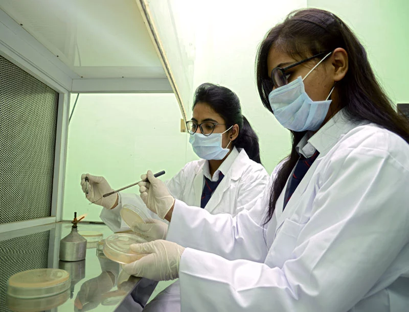 Biotech Student